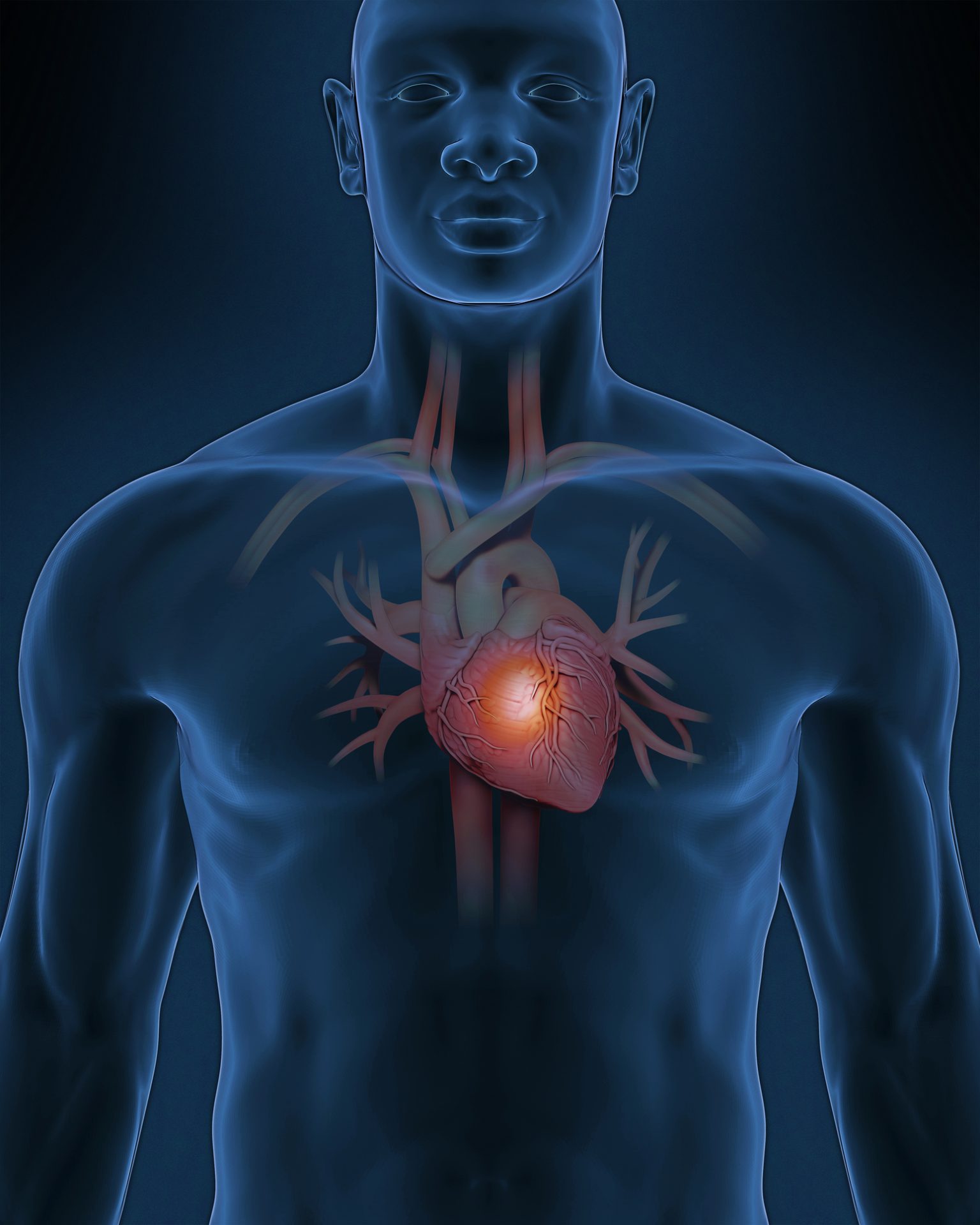 3D Render Illustration of a man standing confidently with a transparent view of his heart.